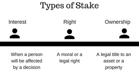 stake meaning in politics